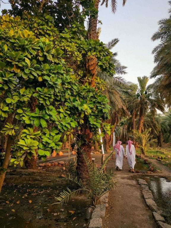 لماذا لم يعد العمل الورقي مناسبًا لمنشآت تسويق الخضار والفواكه؟